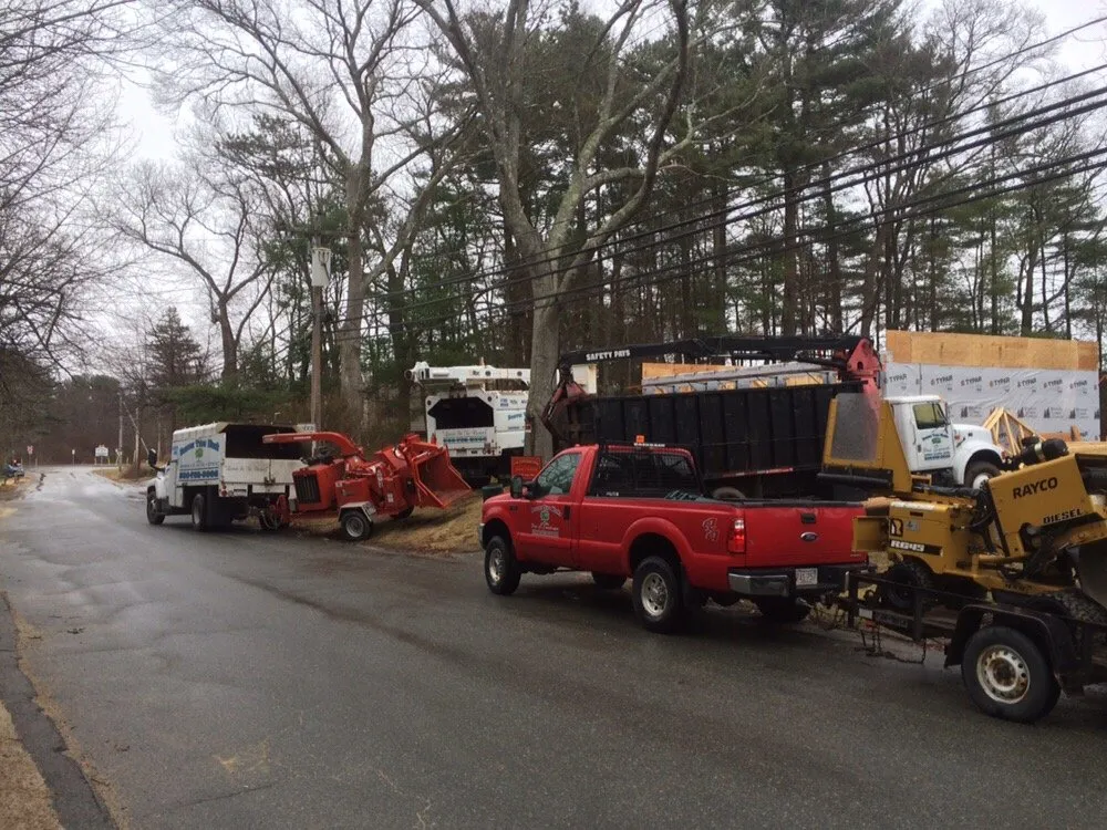 Expert lawn care service for beautiful yards across Lakeville, MA - Beaver Tree Works