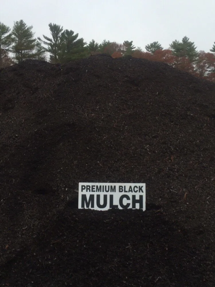 Top-rated outdoor landscaping experts serving Lakeville, MA - Beaver Tree Works