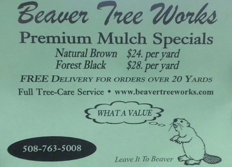 Custom outdoor landscaping for outdoor upgrades in Lakeville, MA by Beaver Tree Works