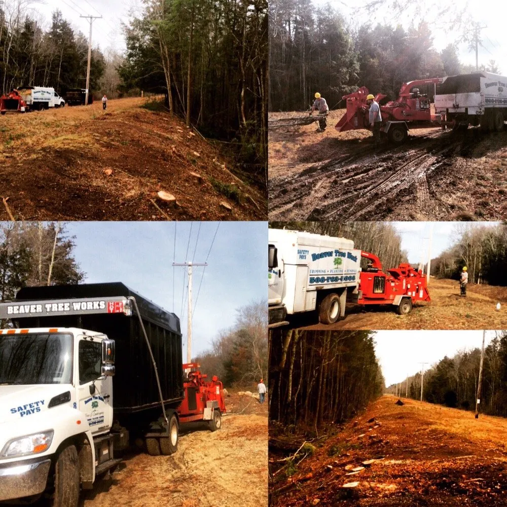 Local garden landscaping experts serving Lakeville, MA - Beaver Tree Works