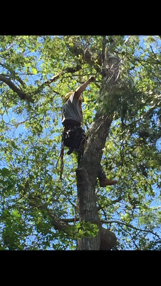 Custom yard maintenance with custom design in Lakeville, MA by Beaver Tree Works