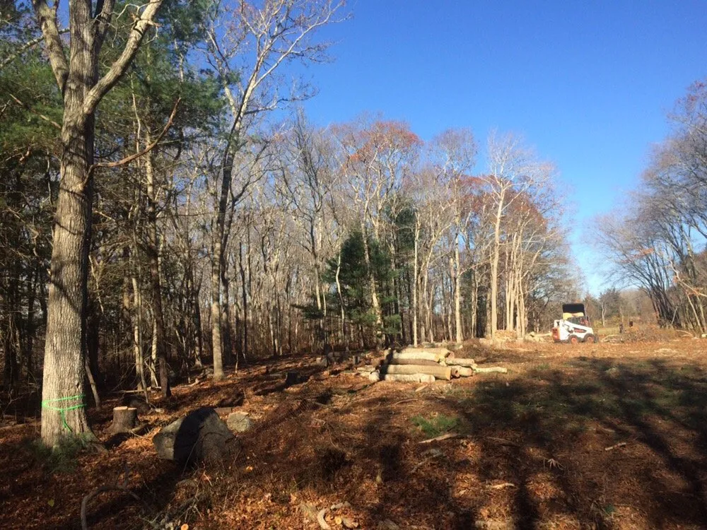 Local landscape installation in Lakeville, MA - Beaver Tree Works