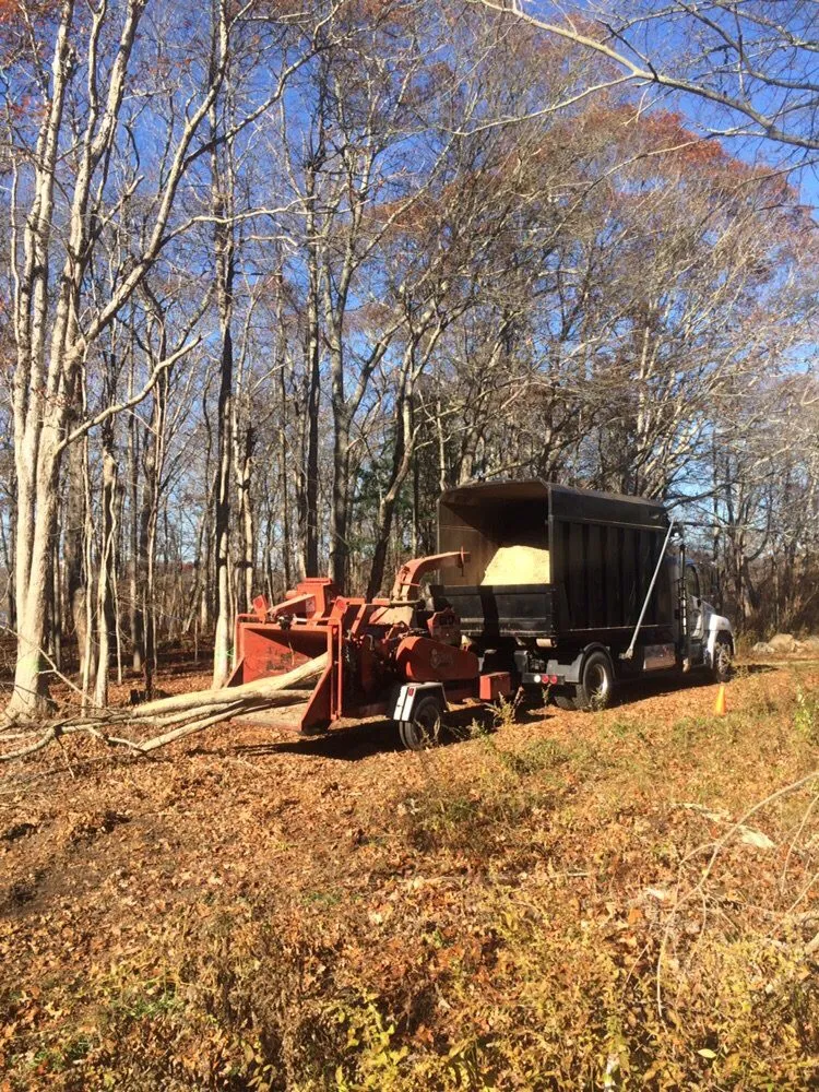 Expert outdoor landscaping experts serving Lakeville, MA - Beaver Tree Works