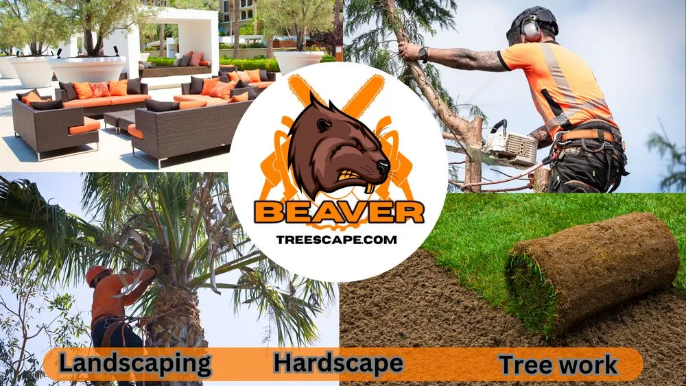 Expert yard maintenance experts serving Miami, FL - Beaver Treescape