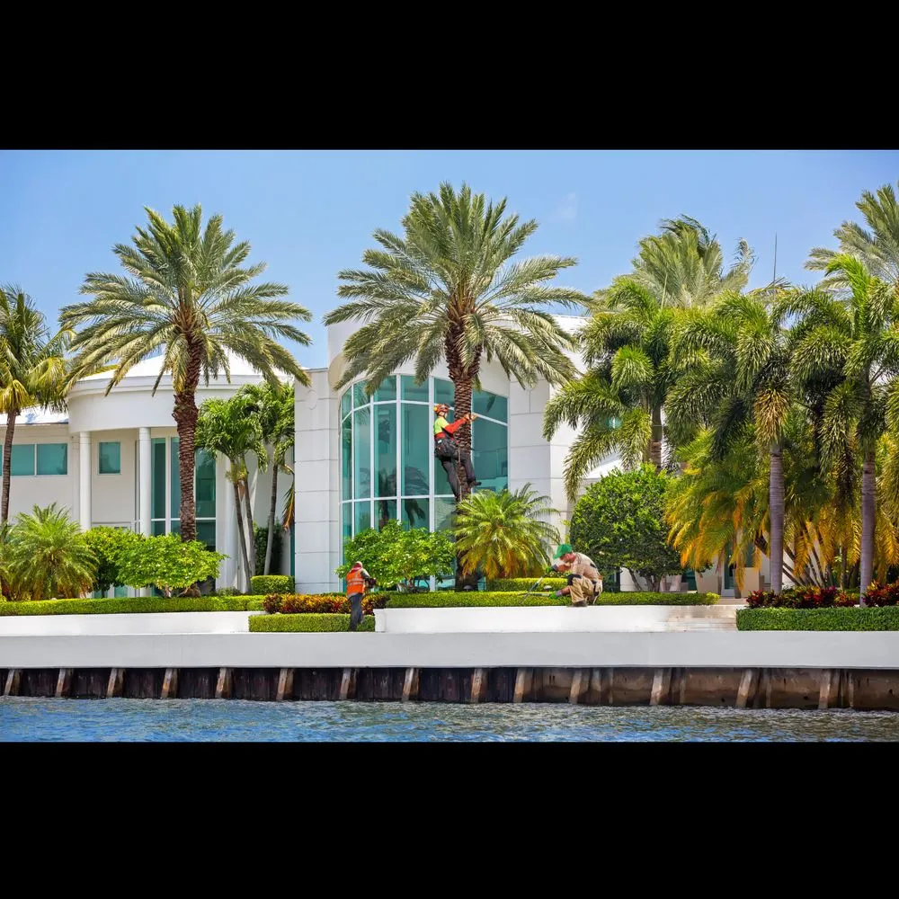 Reliable landscape installation in Miami, FL - Beaver Treescape