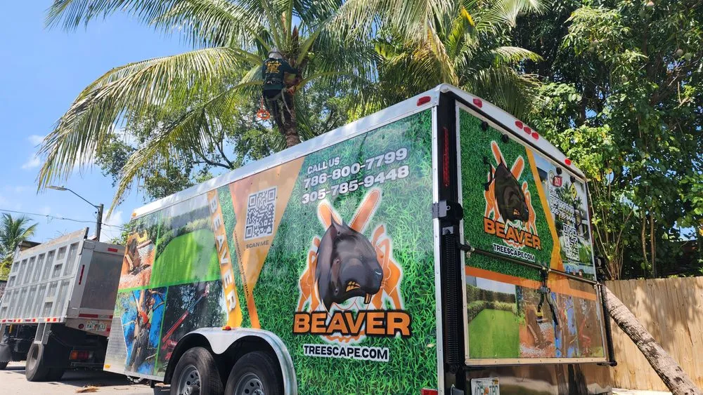 Custom lawn mowing service for homes in Miami, FL by Beaver Treescape