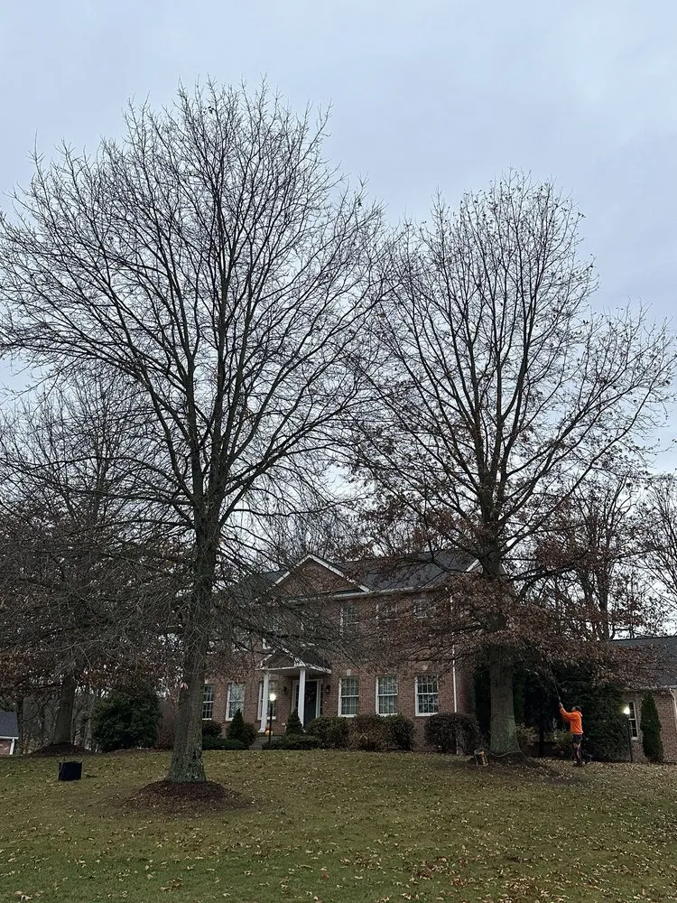 Expert outdoor landscaping with custom design in Heights, PA by BeaverJack Tree Service