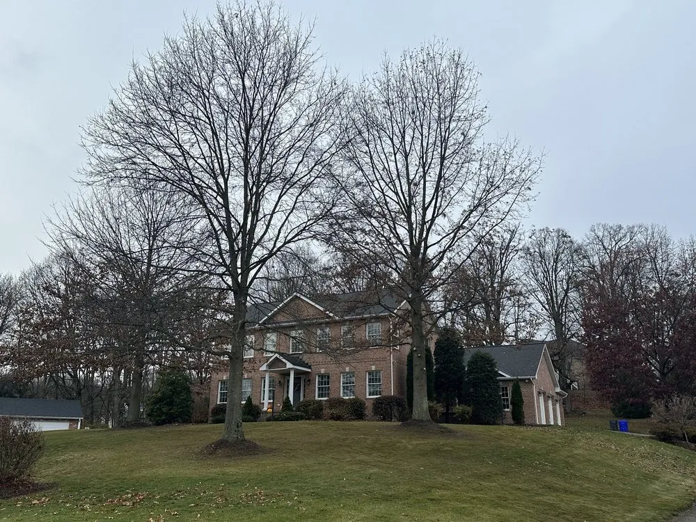 Local landscape design for beautiful yards across Heights, PA - BeaverJack Tree Service