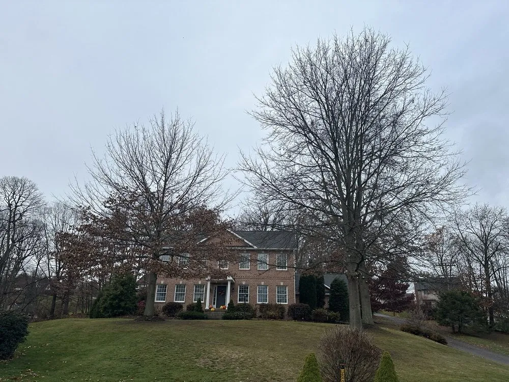 Reliable outdoor landscaping for year-round maintenance across Heights, PA - BeaverJack Tree Service