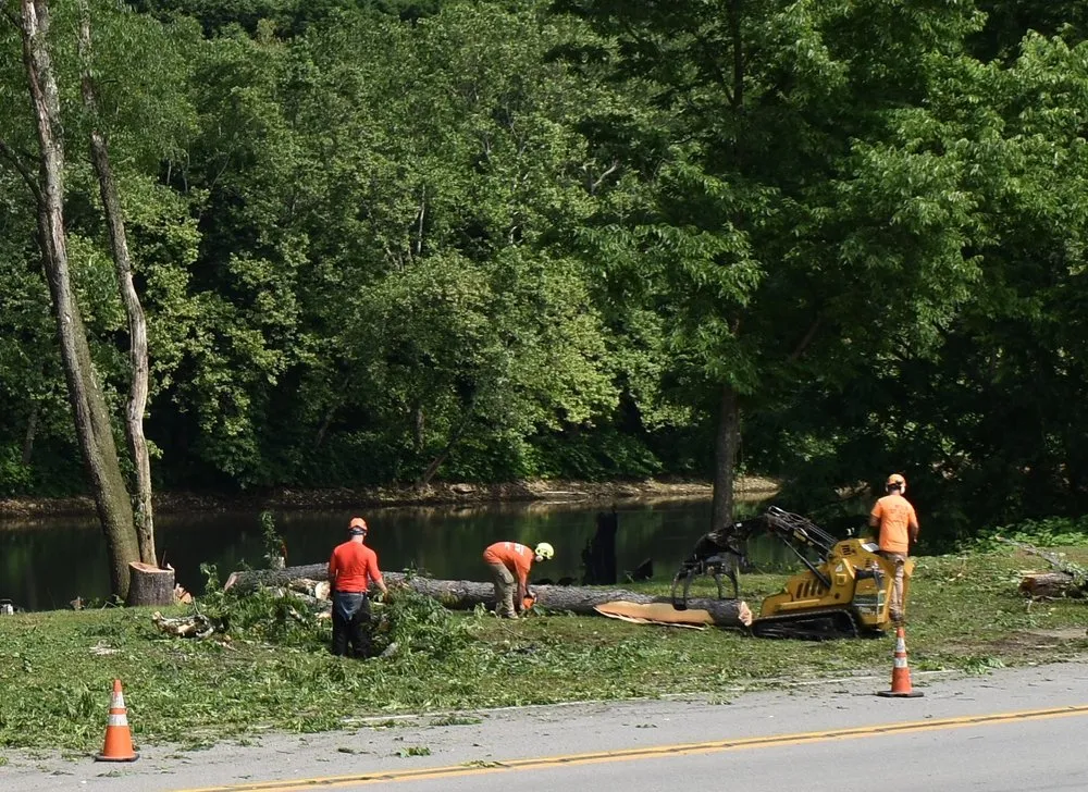 Local yard cleanup service in Heights, PA - BeaverJack Tree Service