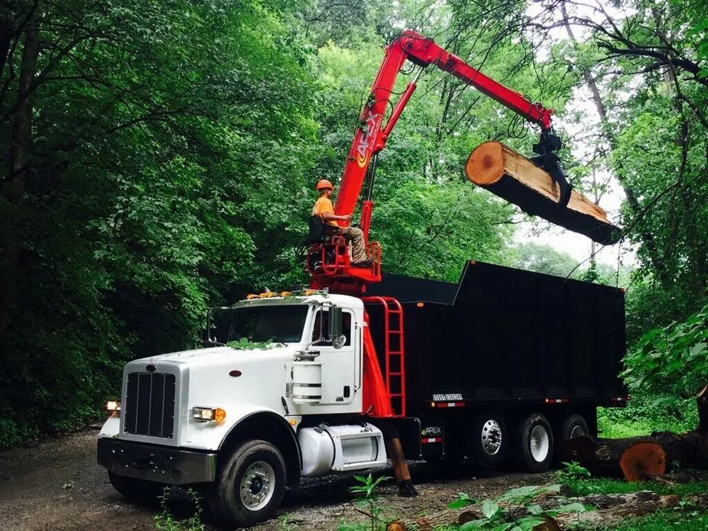 Top-rated garden landscaping in Heights, PA - BeaverJack Tree Service