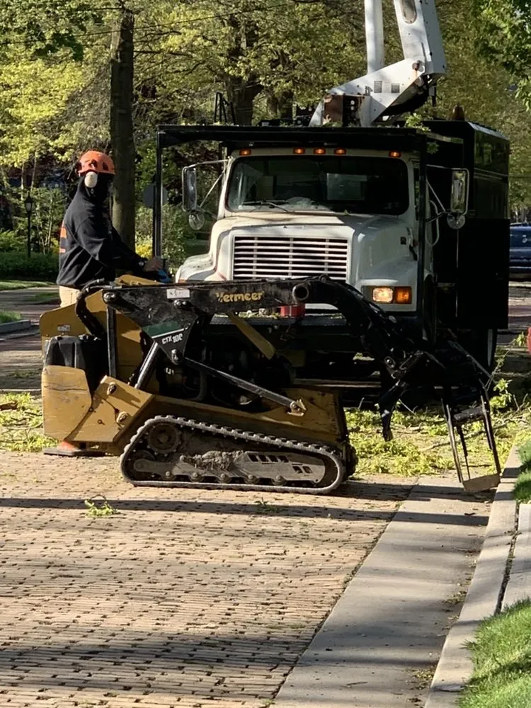 Professional landscape installation for year-round maintenance in Heights, PA by BeaverJack Tree Service