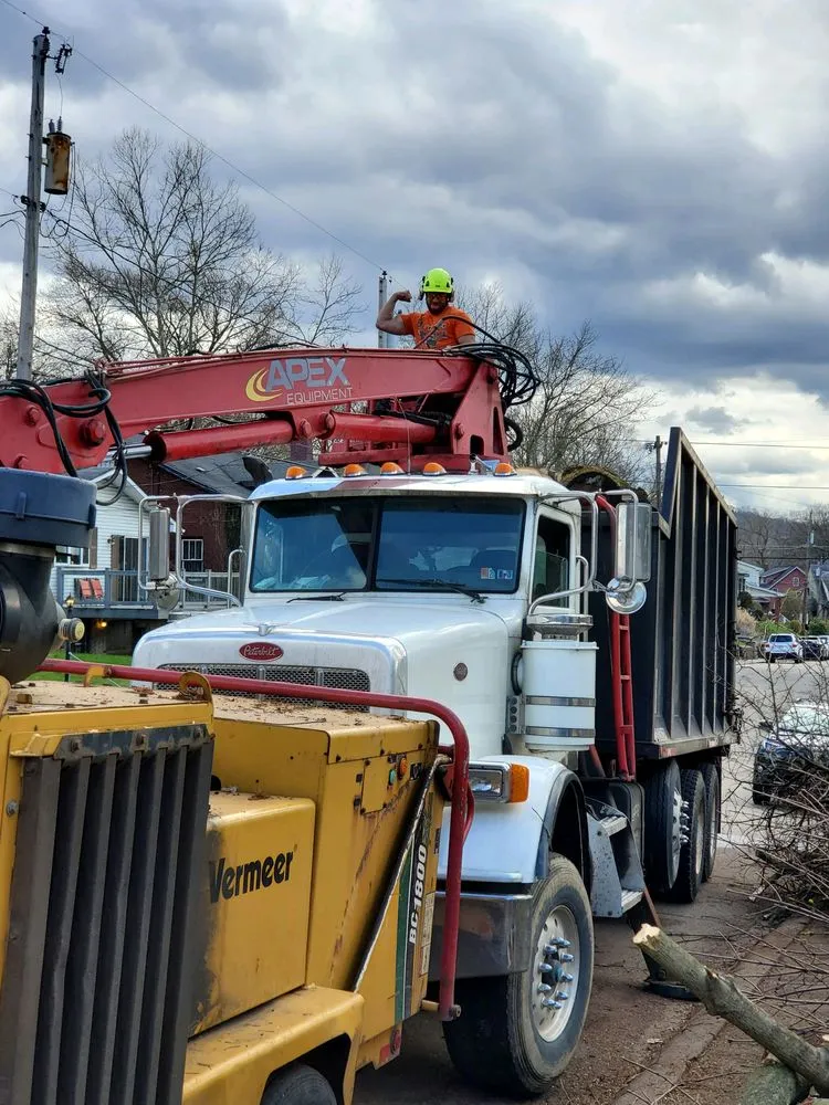 Trusted lawn care service experts serving Heights, PA - BeaverJack Tree Service