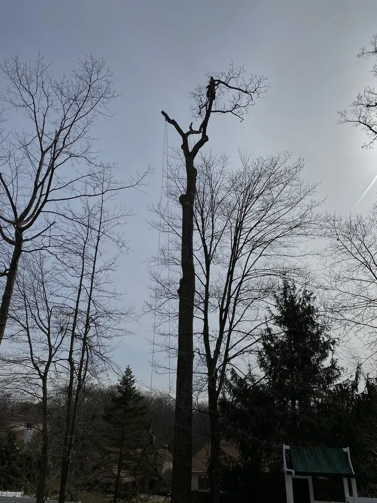 Local landscaping services with custom design in Heights, PA by BeaverJack Tree Service