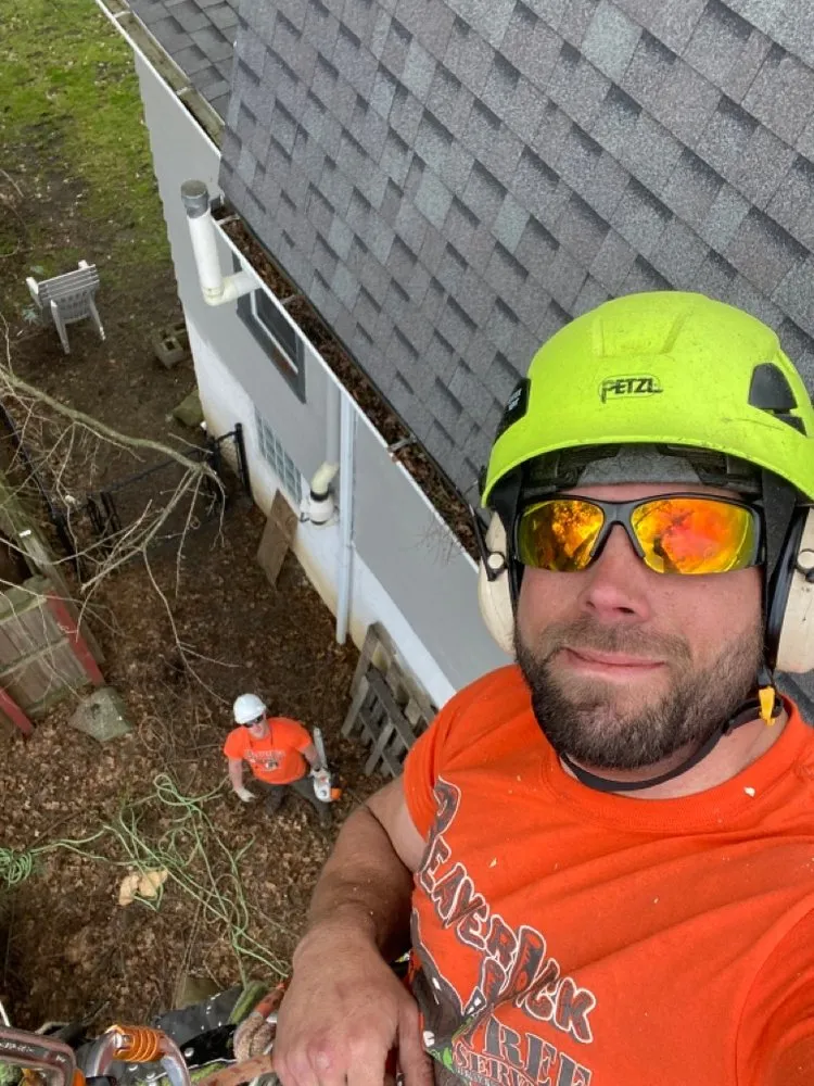 Expert landscape installation in Heights, PA - BeaverJack Tree Service