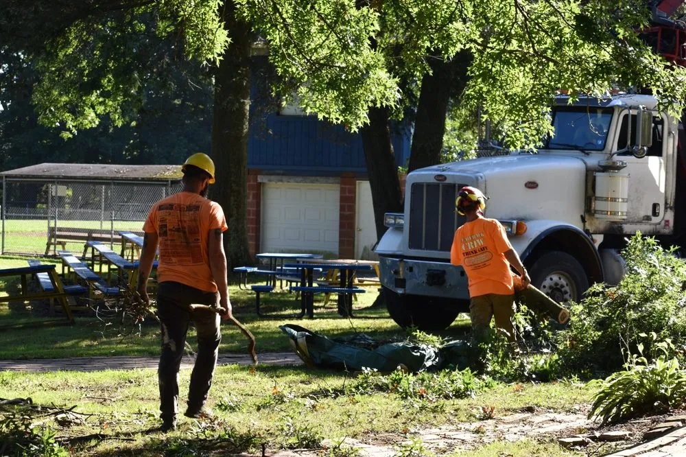 Top-rated yard cleanup service in Heights, PA by BeaverJack Tree Service