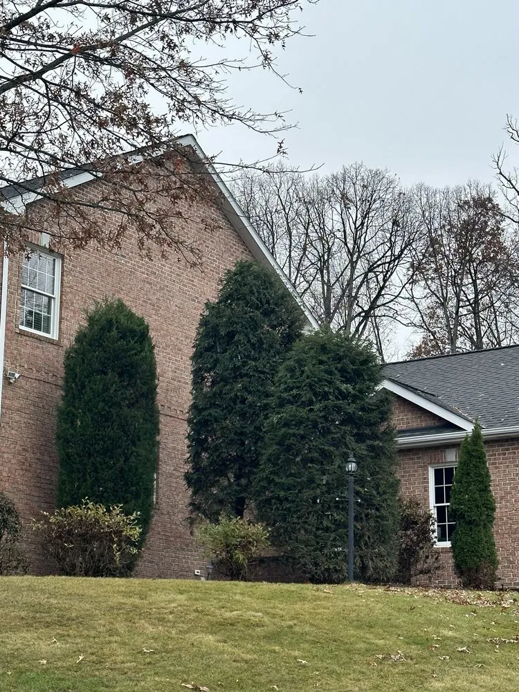 Trusted lawn mowing service for outdoor upgrades in Heights, PA by BeaverJack Tree Service