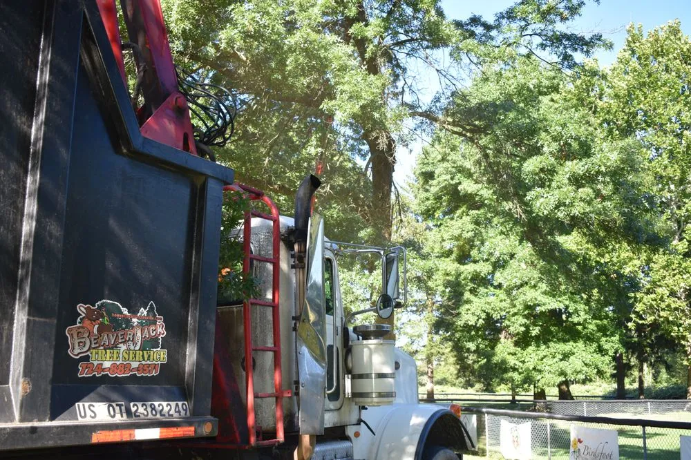 Reliable landscaping services for homes in Heights, PA by BeaverJack Tree Service