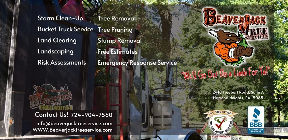 Professional yard maintenance experts serving Heights, PA - BeaverJack Tree Service