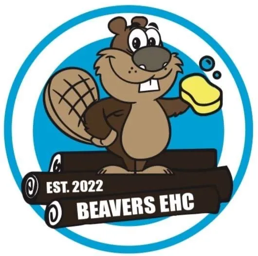 Top-rated outdoor landscaping experts serving Andover, MN - Beavers EHC