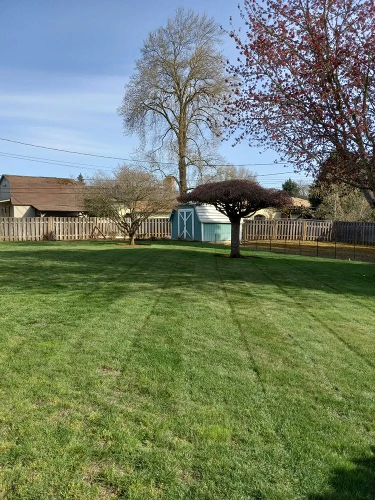 Reliable landscape design in Vancouver, WA by Beaver’s Landscaping