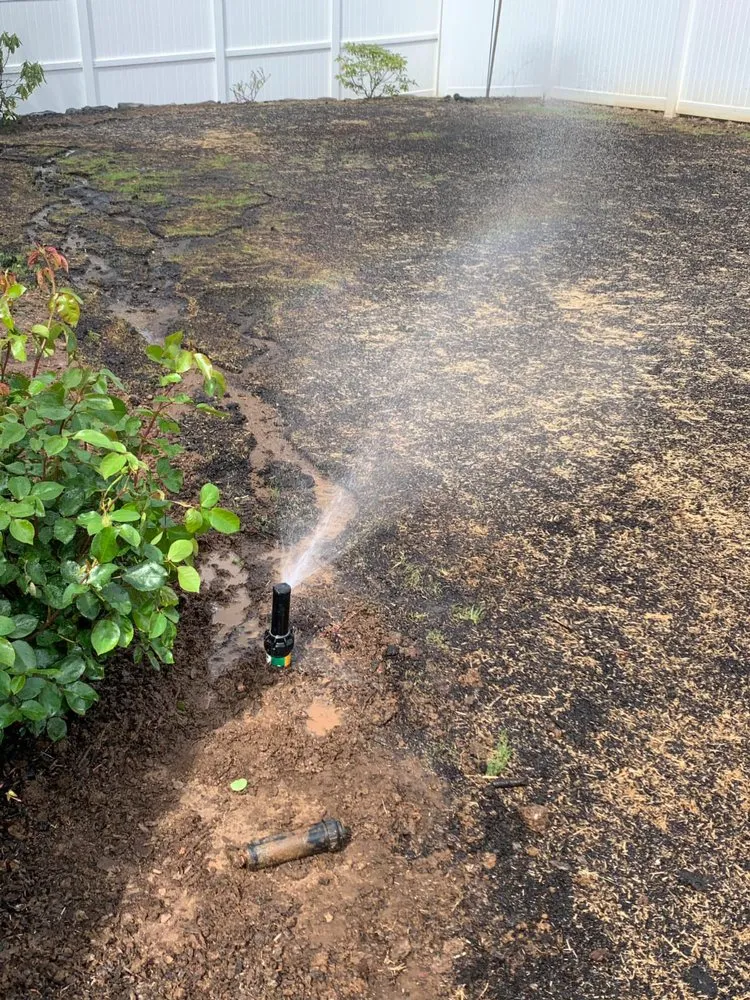 Local yard maintenance in Vancouver, WA - Beaver’s Landscaping