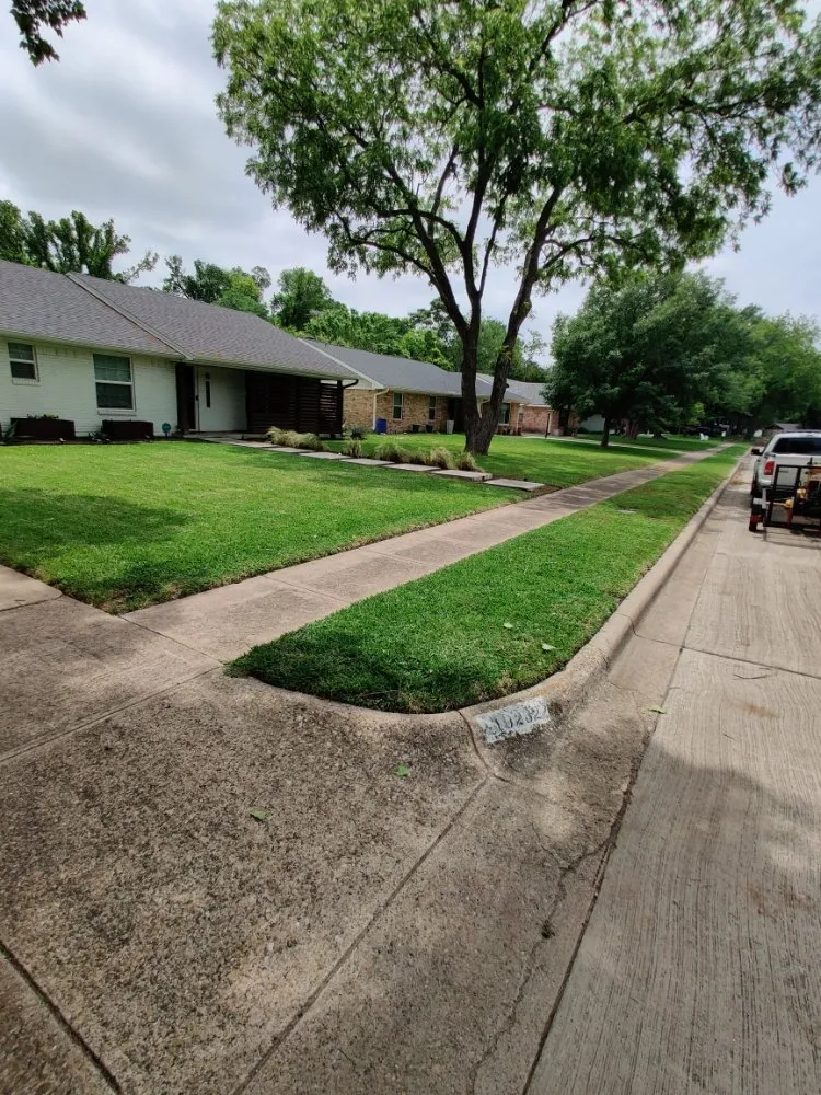 Expert landscape installation in Dallas, TX by Beavers Lawn Service