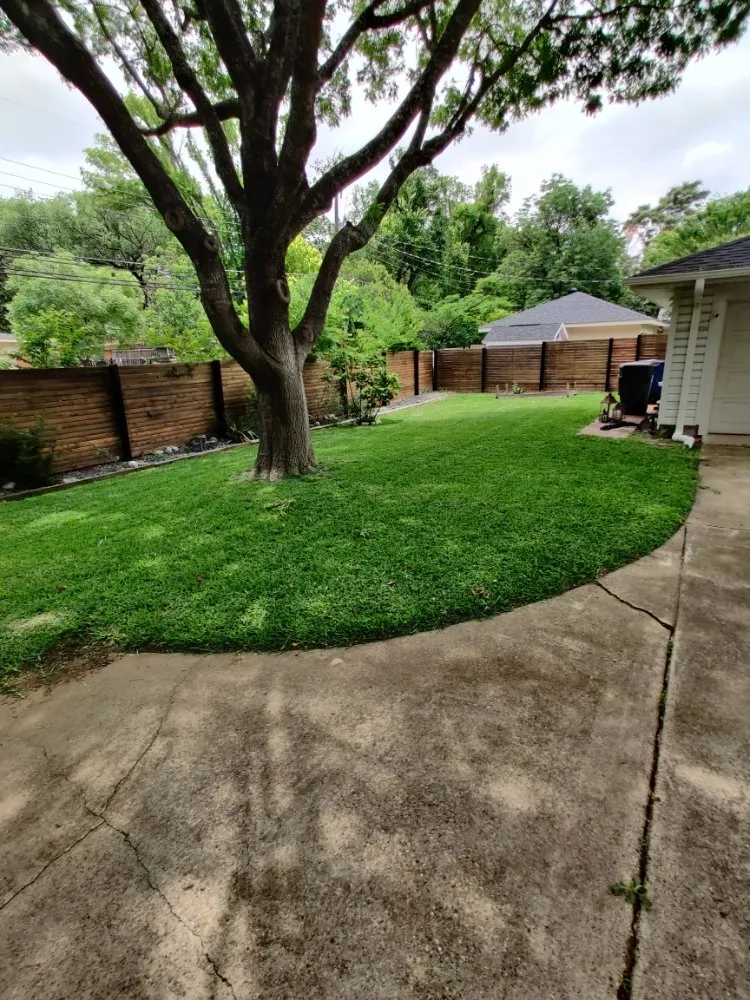 Expert lawn care service in Dallas, TX - Beavers Lawn Service