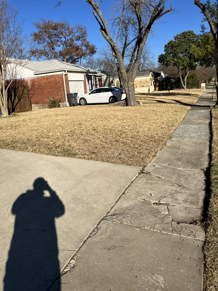 Local yard maintenance experts serving Dallas, TX - Beavers Lawn Service