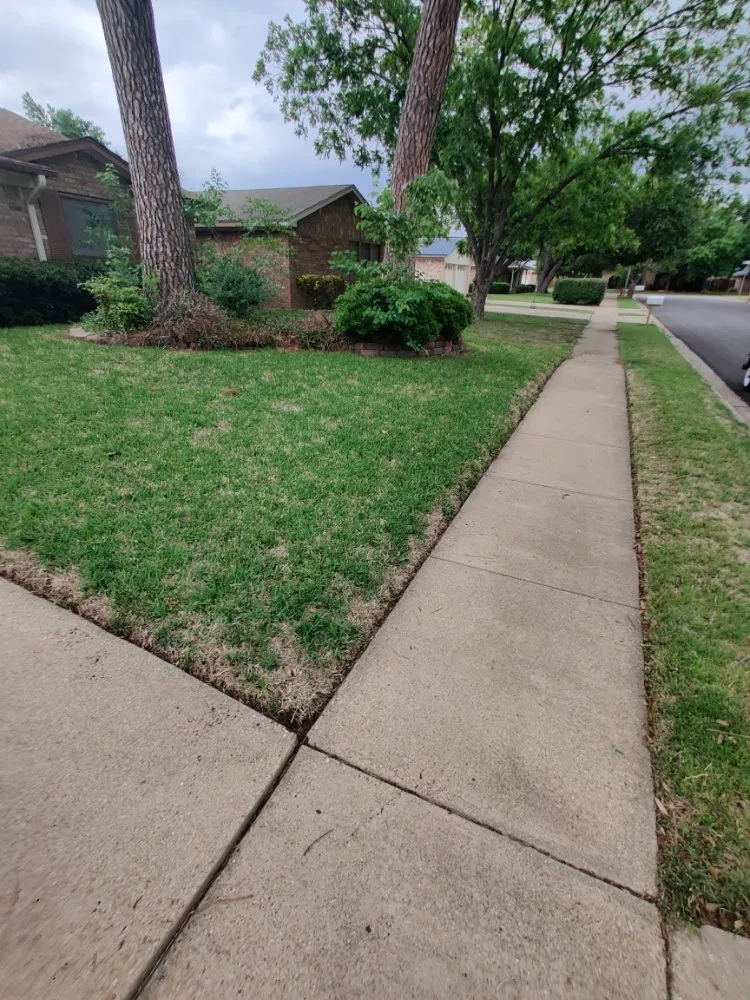 Reliable yard maintenance in Dallas, TX - Beavers Lawn Service