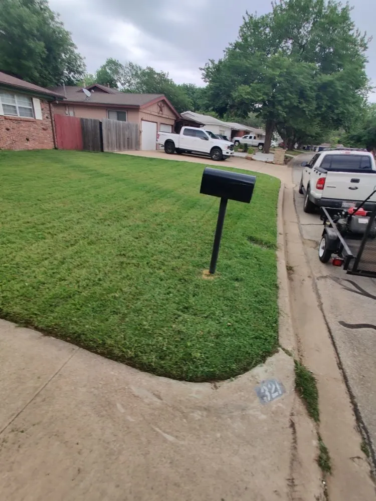 Custom yard cleanup service in Dallas, TX - Beavers Lawn Service