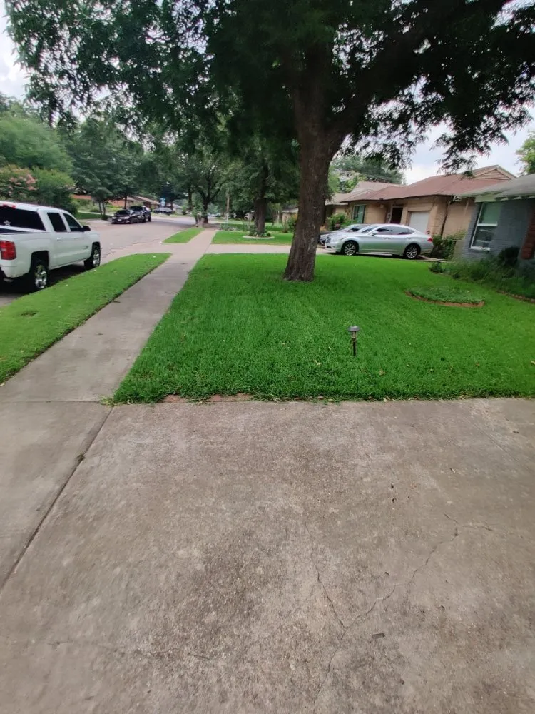 Custom yard cleanup service near you in Dallas, TX by Beavers Lawn Service