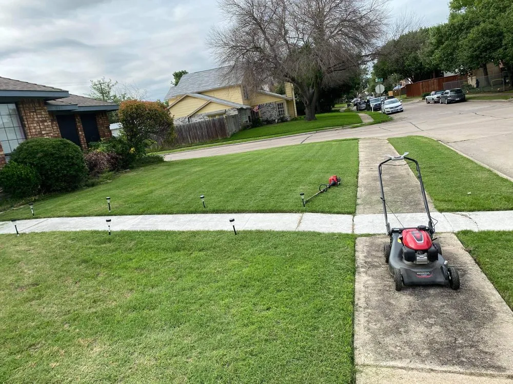 Professional landscape installation for year-round maintenance in Dallas, TX by Beavers Lawn Service