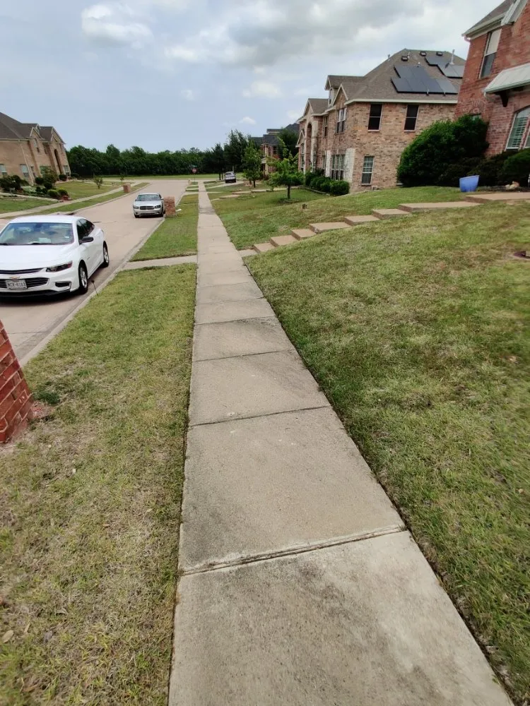 Expert yard cleanup service in Dallas, TX - Beavers Lawn Service