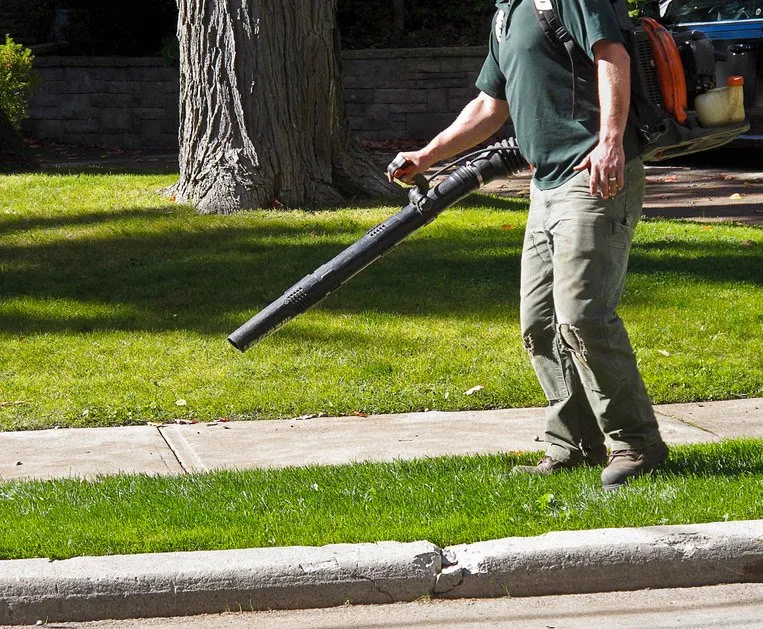 Top-rated landscaping services for year-round maintenance in Dallas, TX by Beavers Lawn Service