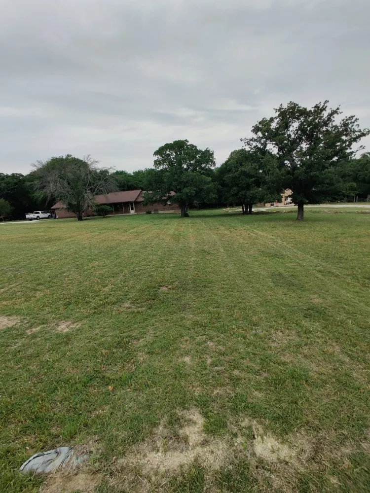 Local yard maintenance in Dallas, TX - Beavers Lawn Service