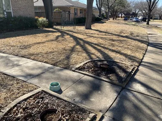 Beavers Lawn Service Logo