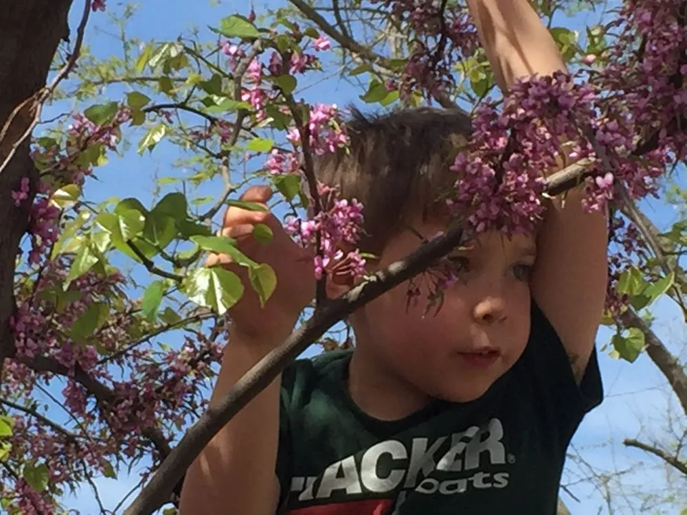 Trusted residential landscaping experts serving Wichita, KS - Beaver's Tree And Landscape