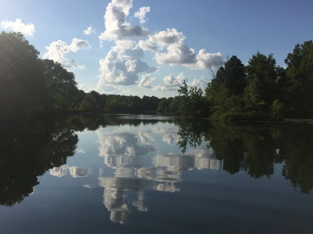 Professional lawn care service in Wichita, KS by Beaver's Tree And Landscape