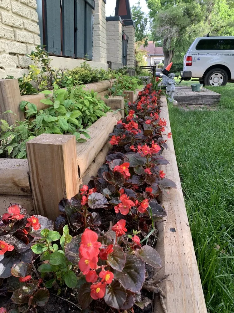 Trusted outdoor landscaping in Wichita, KS by Beaver's Tree And Landscape