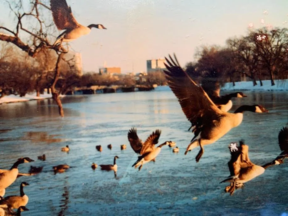 Affordable outdoor landscaping in Wichita, KS - Beaver's Tree And Landscape