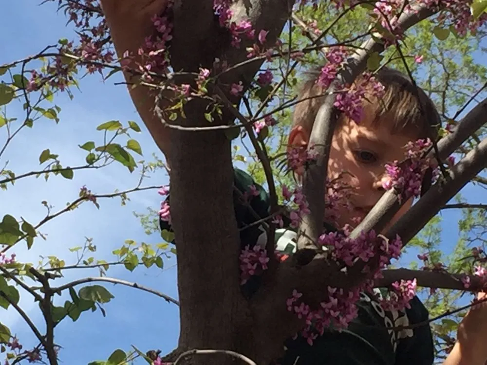 Professional lawn care service for residential properties in Wichita, KS by Beaver's Tree And Landscape