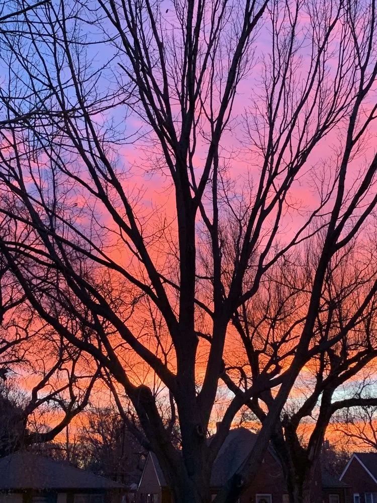 Expert residential landscaping in Wichita, KS - Beaver's Tree And Landscape