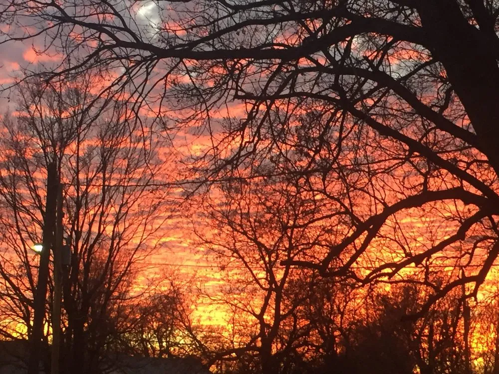 Reliable lawn care service experts serving Wichita, KS - Beaver's Tree And Landscape