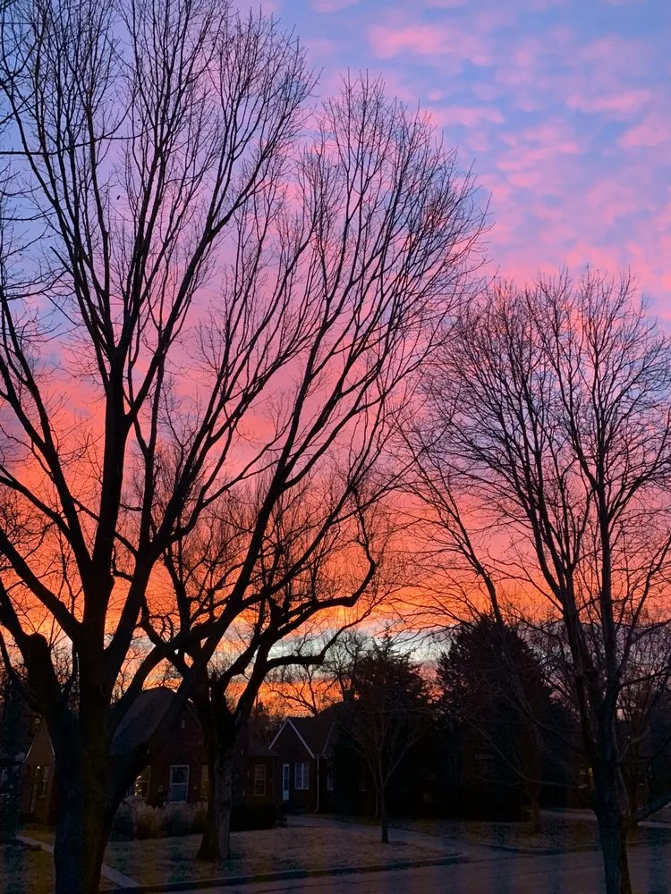 Top-rated garden landscaping near you in Wichita, KS by Beaver's Tree And Landscape