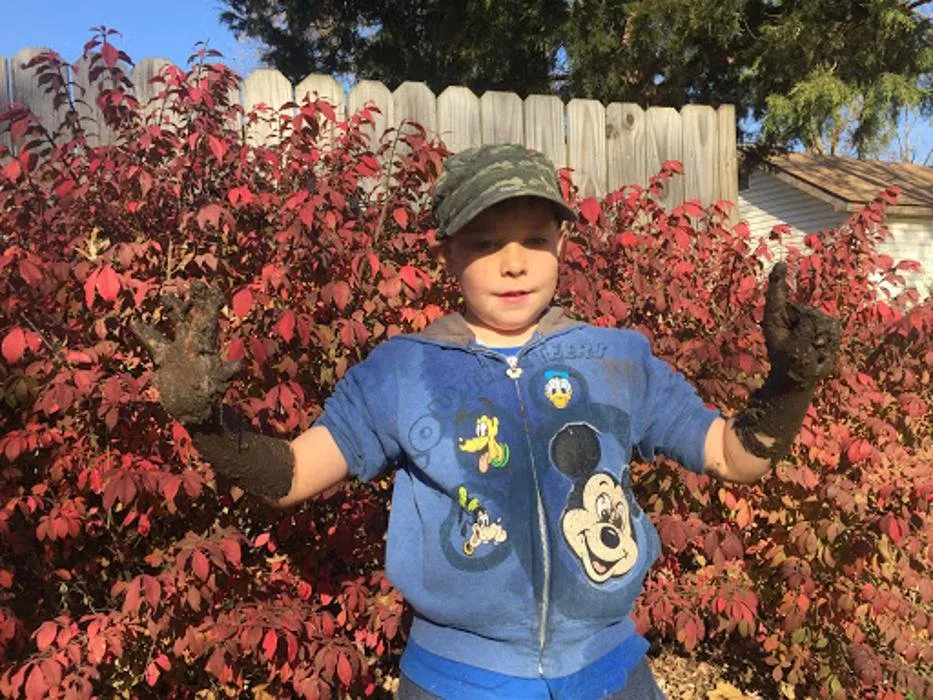 Custom yard cleanup service in Wichita, KS - Beaver's Tree And Landscape