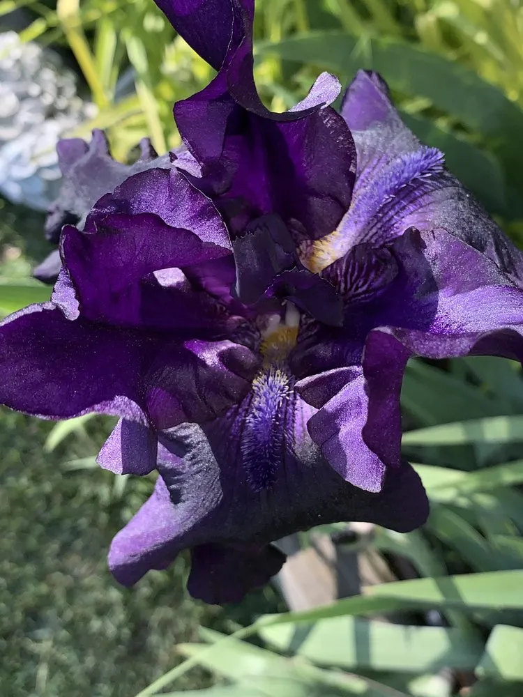 Trusted landscaping services for year-round maintenance across Wichita, KS - Beaver's Tree And Landscape