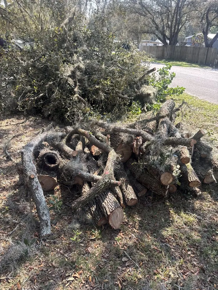 Expert residential landscaping in Salt Springs, FL - Beavers Tree Professionals