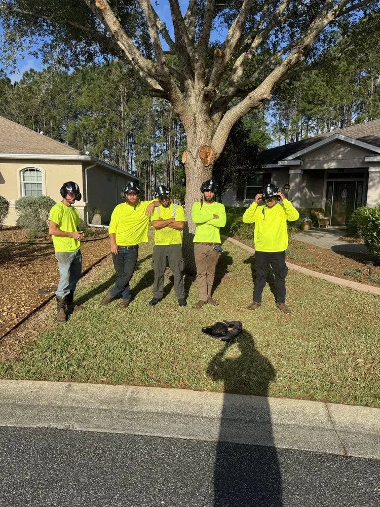 Professional yard maintenance for outdoor upgrades across Salt Springs, FL - Beavers Tree Professionals