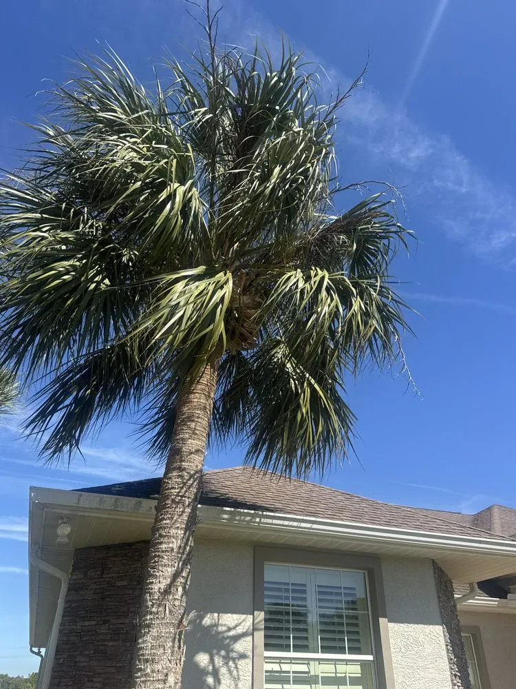 Custom landscape design in Salt Springs, FL by Beavers Tree Professionals